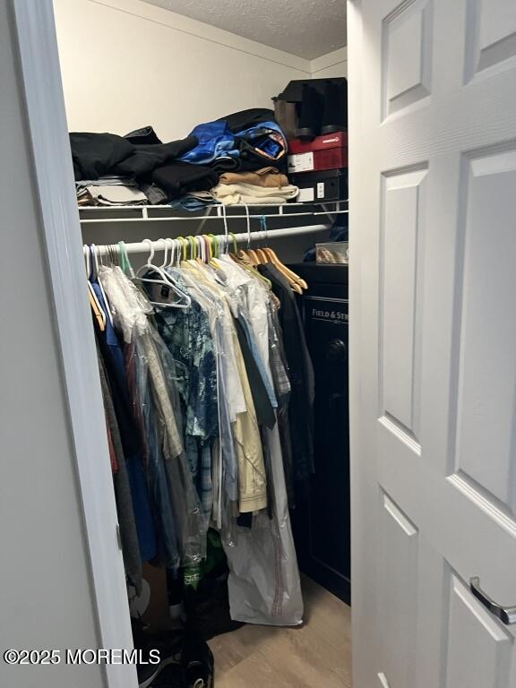 spacious closet featuring wood finished floors