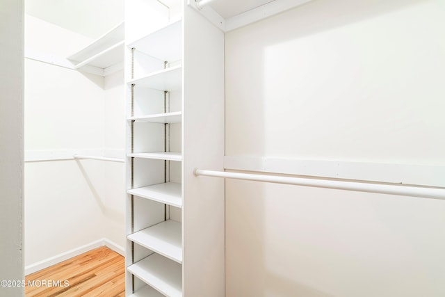 walk in closet with wood finished floors