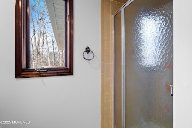 bathroom featuring a stall shower