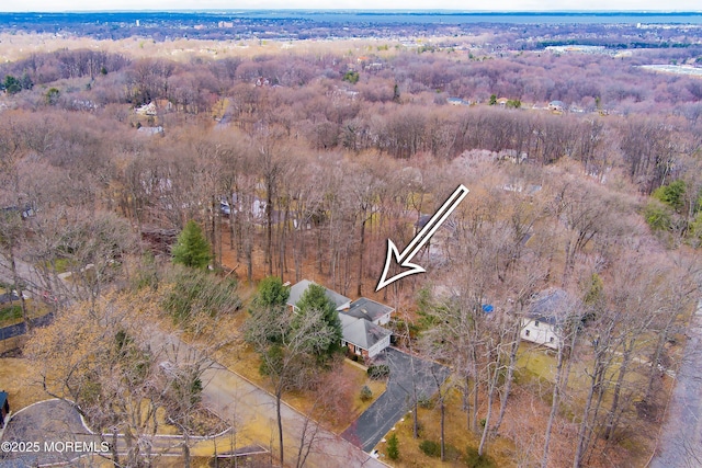 birds eye view of property featuring a wooded view