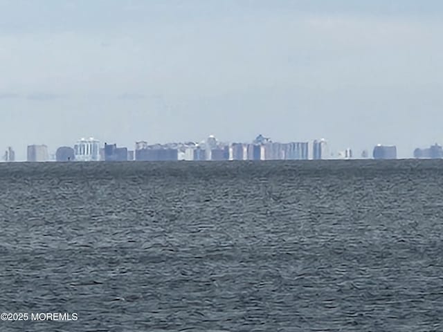 view of water feature featuring a city view