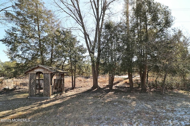 view of yard with an outdoor structure