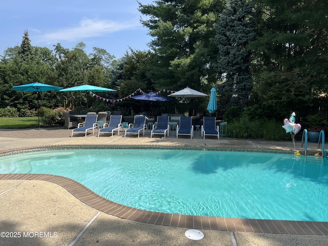 outdoor pool featuring a patio