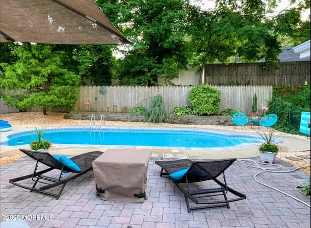 view of pool with a fenced in pool, a fenced backyard, and a patio