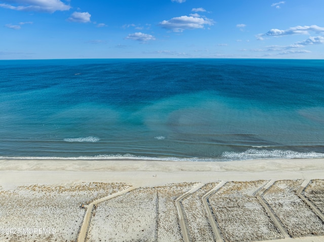 property view of water with a beach view