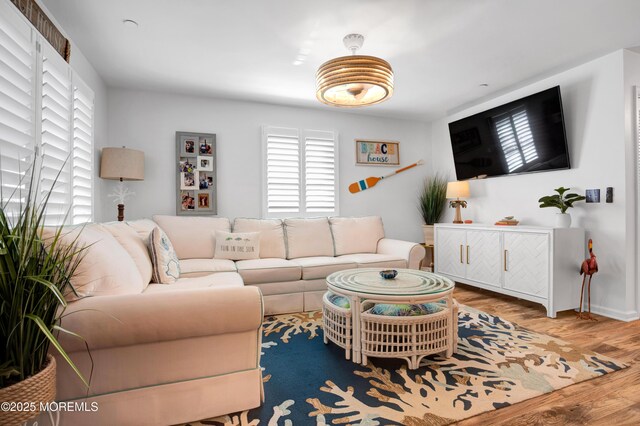 living area featuring wood finished floors