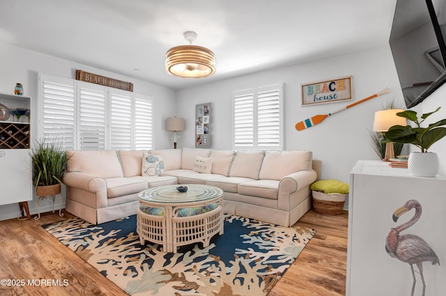 living room featuring a healthy amount of sunlight and wood finished floors