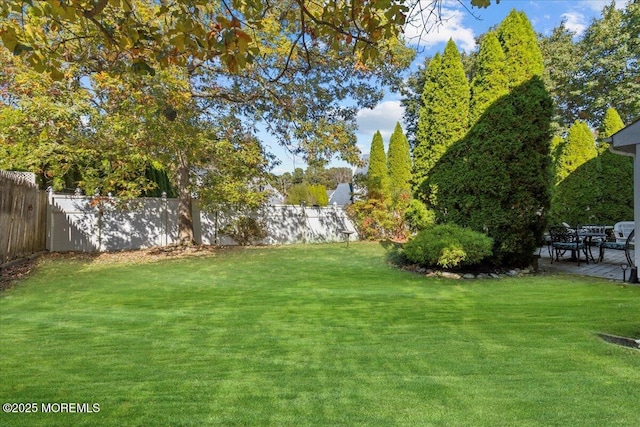 view of yard with a fenced backyard