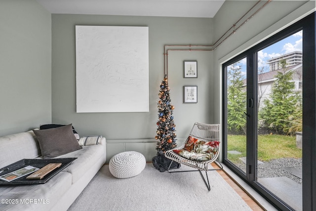 living area with wood finished floors