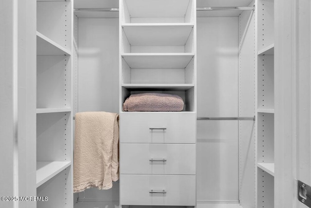 view of spacious closet