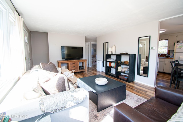 living area featuring wood finished floors