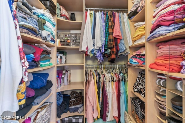 view of spacious closet