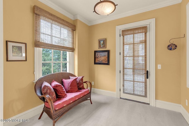 sitting room with baseboards, carpet flooring, and crown molding