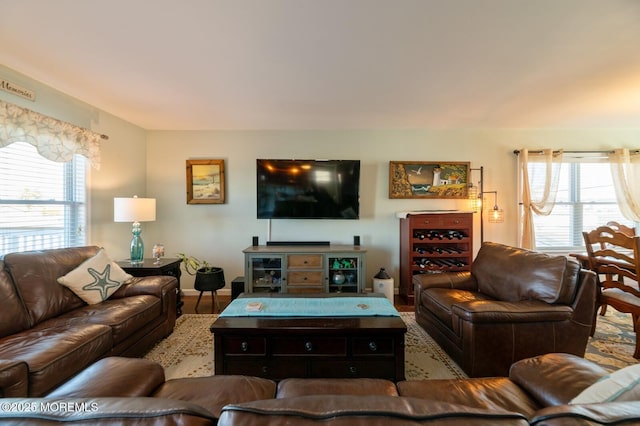 living area featuring a wealth of natural light