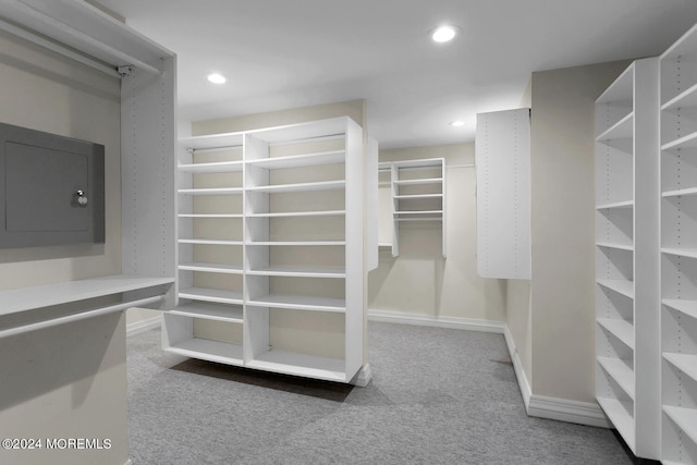 walk in closet featuring carpet and electric panel