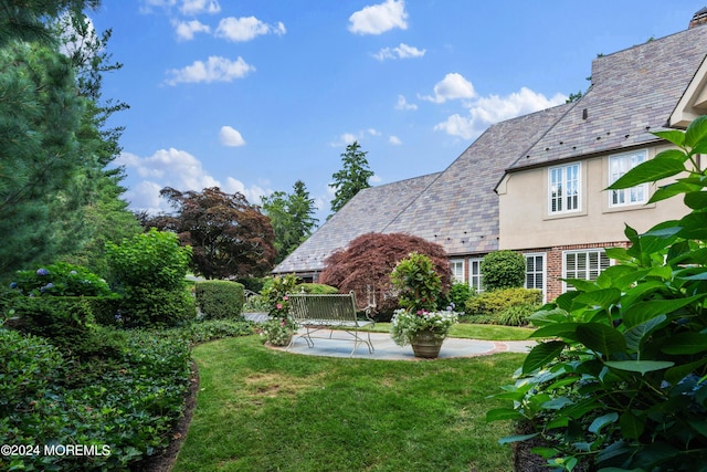 view of yard featuring a patio area