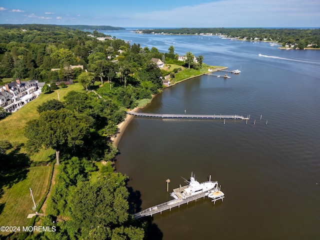 bird's eye view featuring a water view and a view of trees