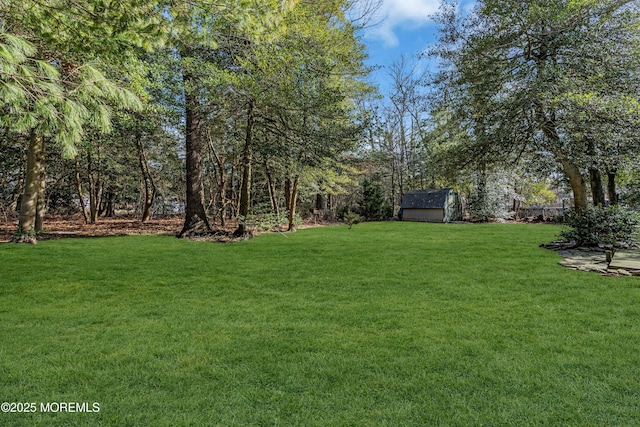 view of yard with a storage shed and an outbuilding