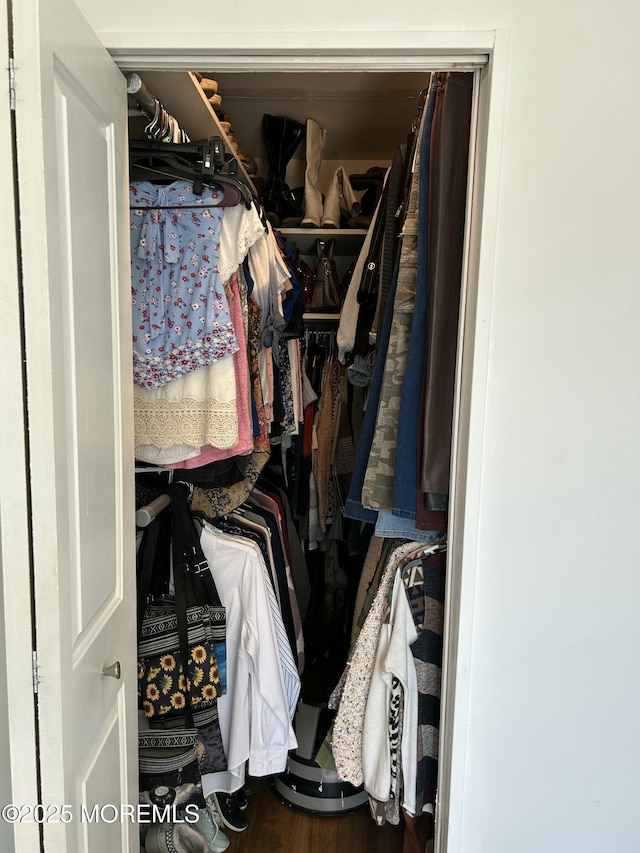 882 Balmoral Ct Unit D, Lakewood, NJ 08701 - view of walk in closet