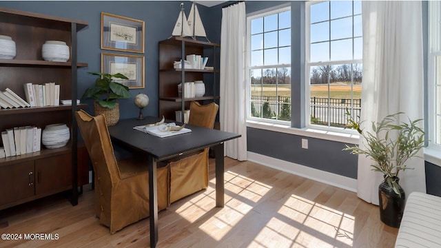 home office featuring baseboards, radiator, and light wood-style floors