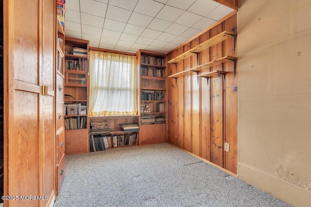 unfurnished office featuring wood walls and carpet flooring