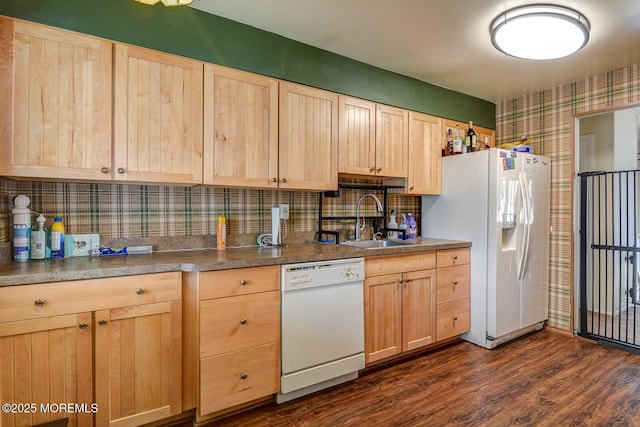 kitchen featuring white appliances, dark wood-style flooring, a sink, light brown cabinetry, and dark countertops