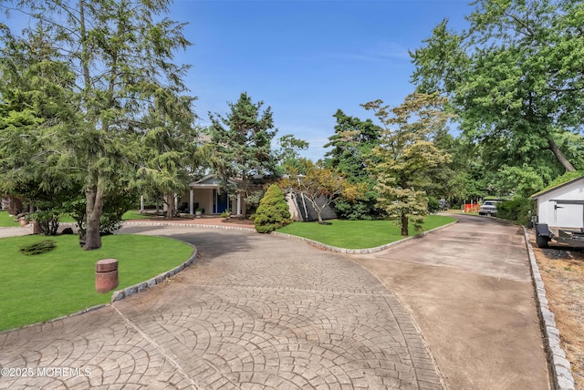 view of front of home featuring curved driveway and a front lawn