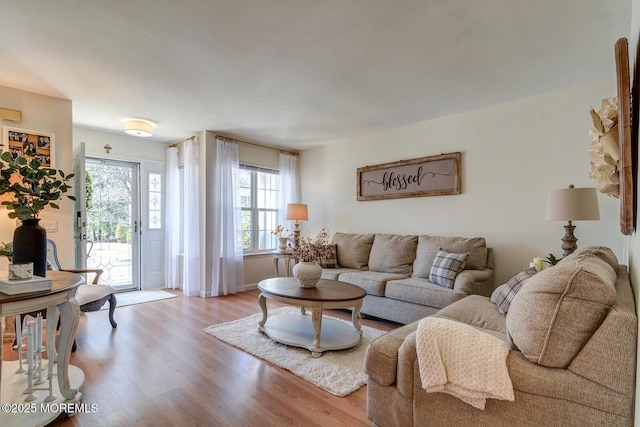 living area featuring wood finished floors