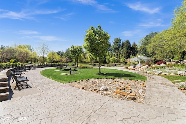 view of home's community with a yard