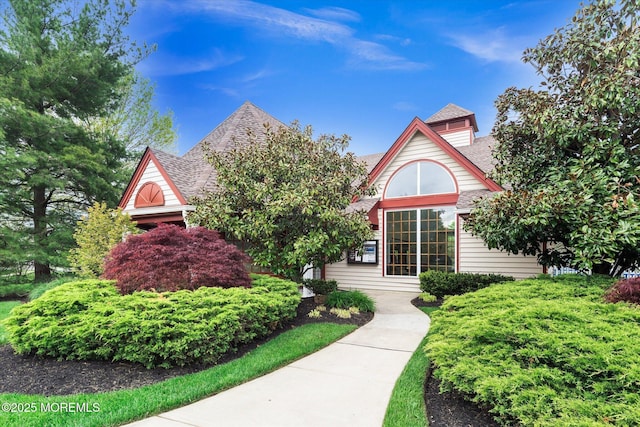 view of front of home featuring roof with shingles