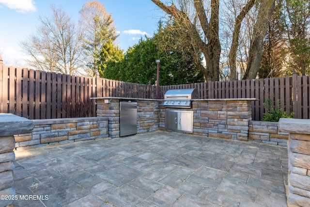 view of patio / terrace with a fenced backyard, grilling area, and exterior kitchen