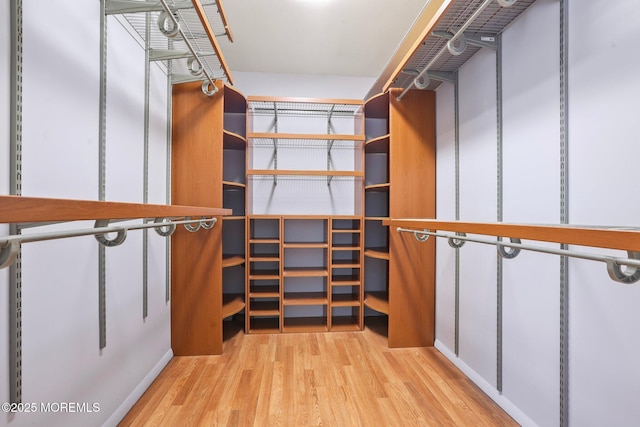 walk in closet featuring wood finished floors