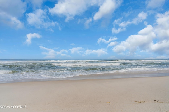 water view with a view of the beach