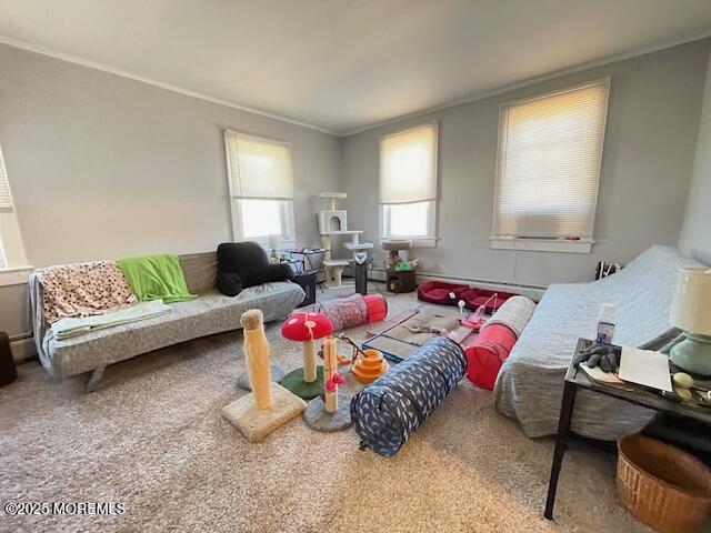 carpeted living area featuring ornamental molding