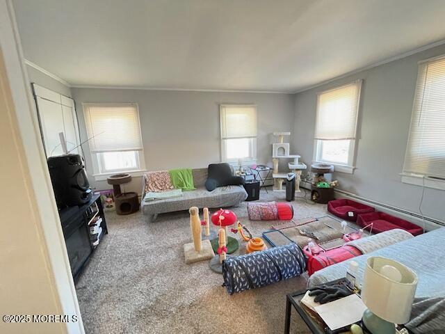 carpeted living room with crown molding