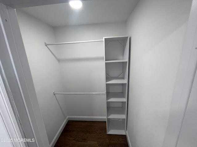 walk in closet with wood finished floors