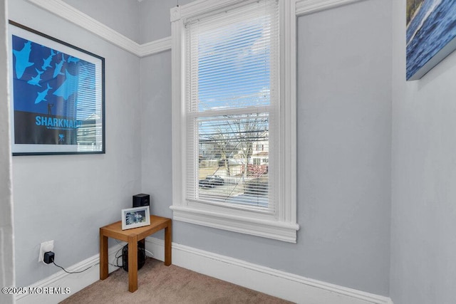 interior space featuring baseboards and carpet flooring