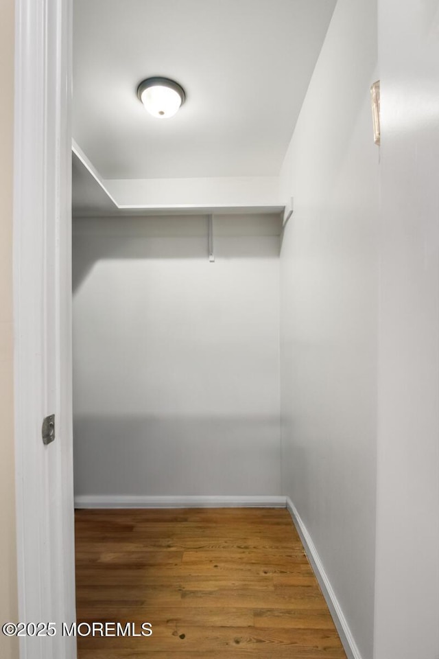 walk in closet with wood finished floors