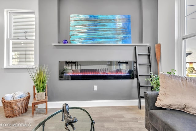 room details featuring wood finished floors, a glass covered fireplace, and baseboards