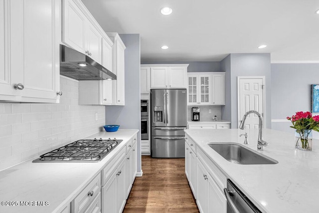 kitchen featuring white cabinets, appliances with stainless steel finishes, dark wood-style flooring, under cabinet range hood, and a sink