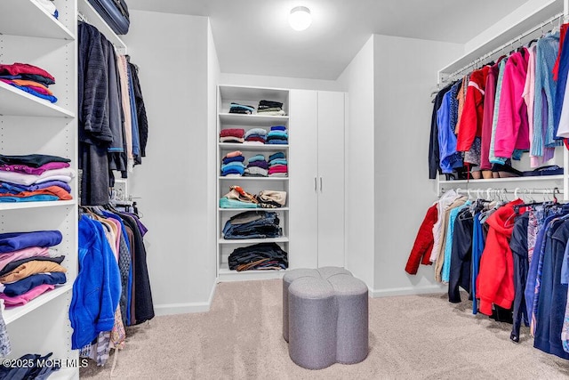 spacious closet with carpet floors