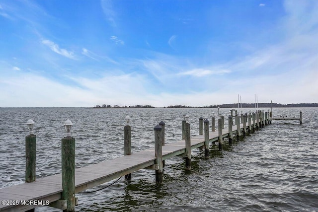 dock area featuring a water view