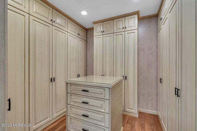 spacious closet featuring light wood-style flooring