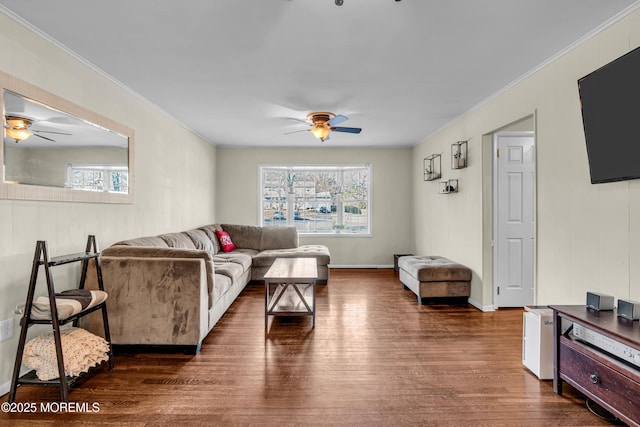 living area featuring ceiling fan, dark wood-type flooring, a wealth of natural light, and crown molding