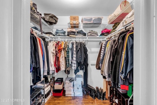 walk in closet featuring wood finished floors