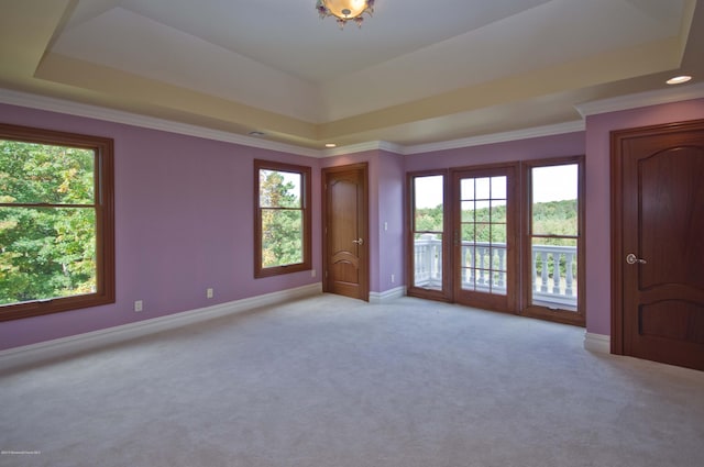 unfurnished room featuring a raised ceiling, light colored carpet, crown molding, and baseboards