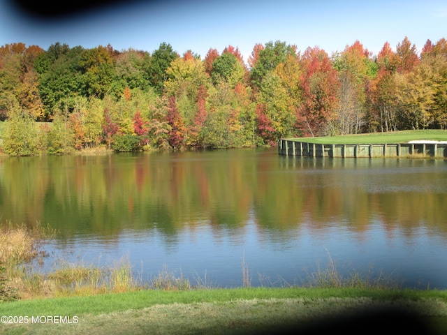 property view of water featuring a forest view