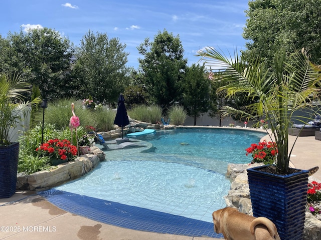 view of swimming pool with a patio area and a fenced in pool