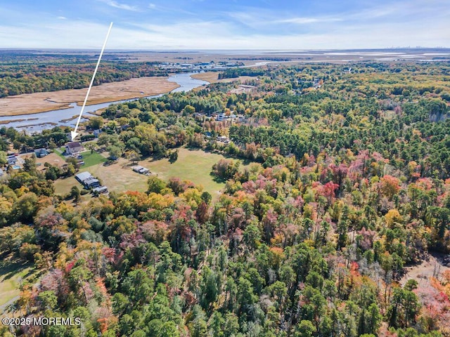 birds eye view of property with a water view and a forest view