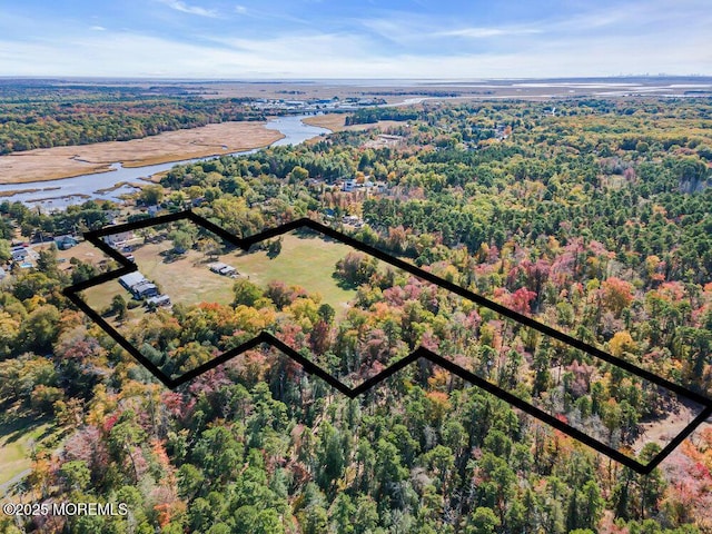 bird's eye view with a water view and a forest view